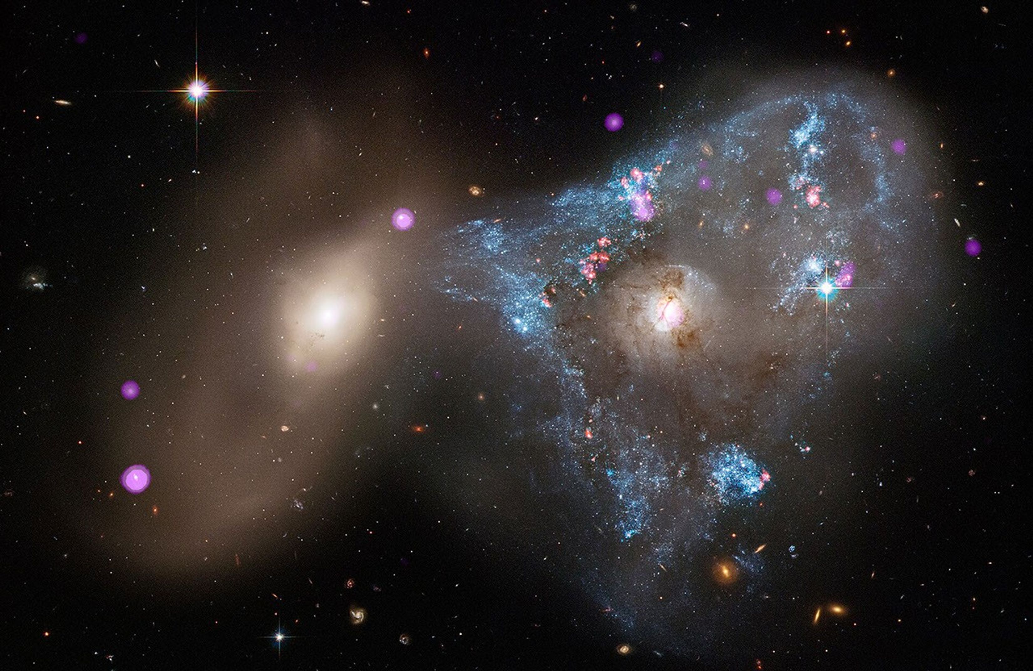 New NASA photos reveal 16 galaxies from across the cosmos in
