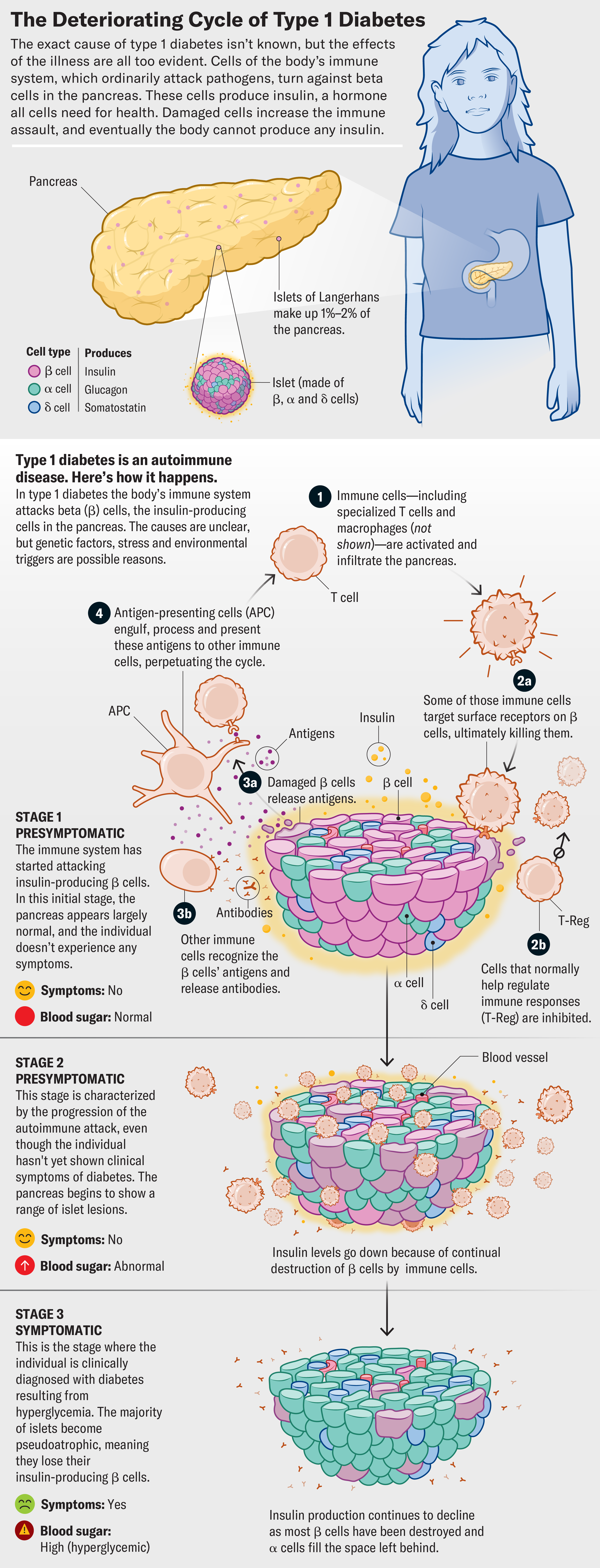 glutathione and diabetes type 1 A Cure for Type 1 Diabetes May be Closer Than You Think
