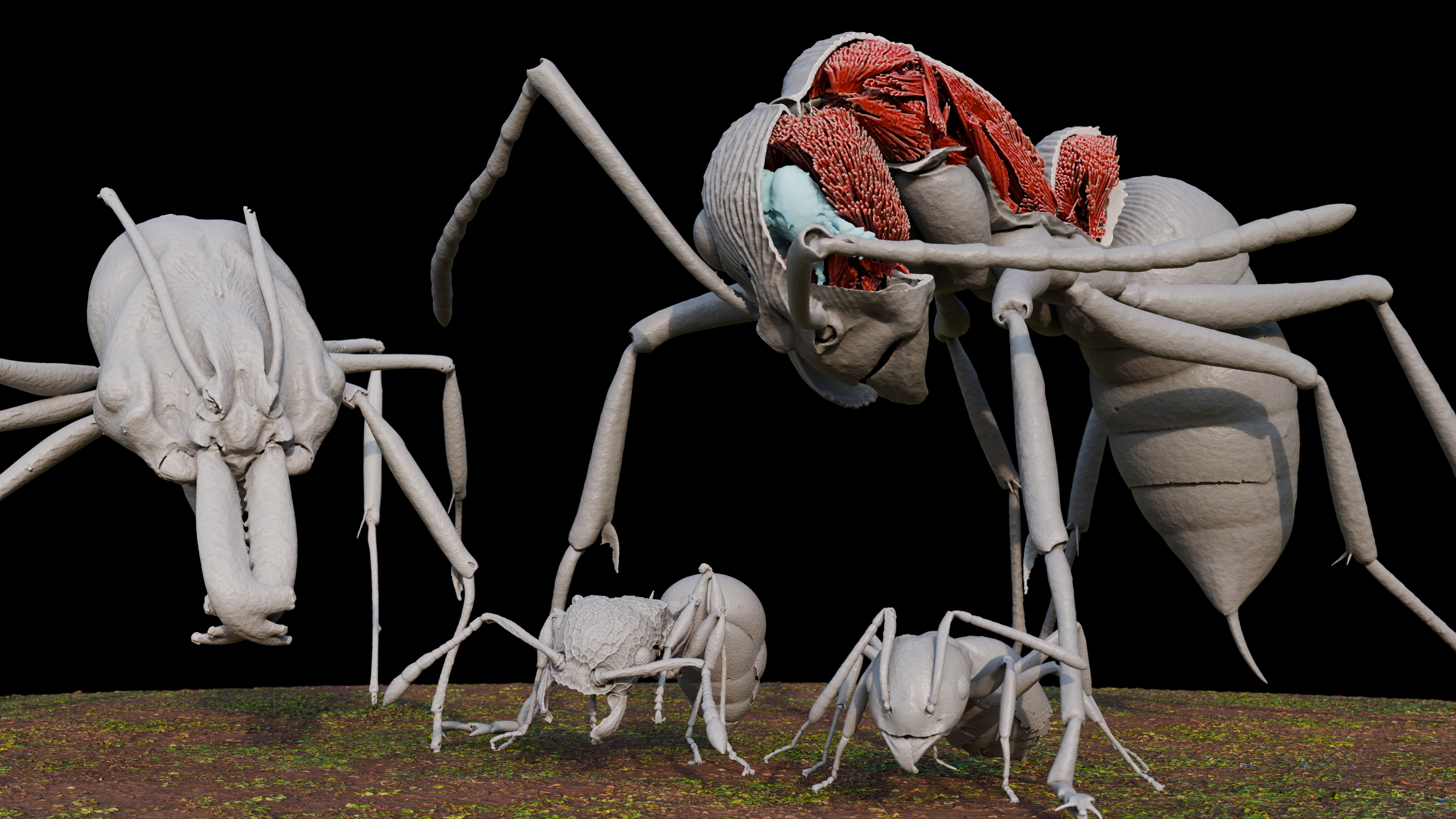 Scientists created a digital library full of ants | Scientific