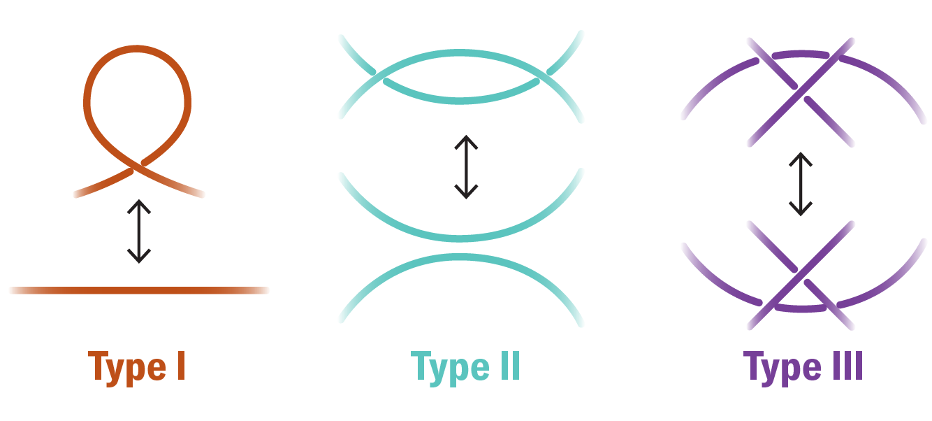 What is Knot Theory? Solve These Puzzles to Find Out | Scientific 