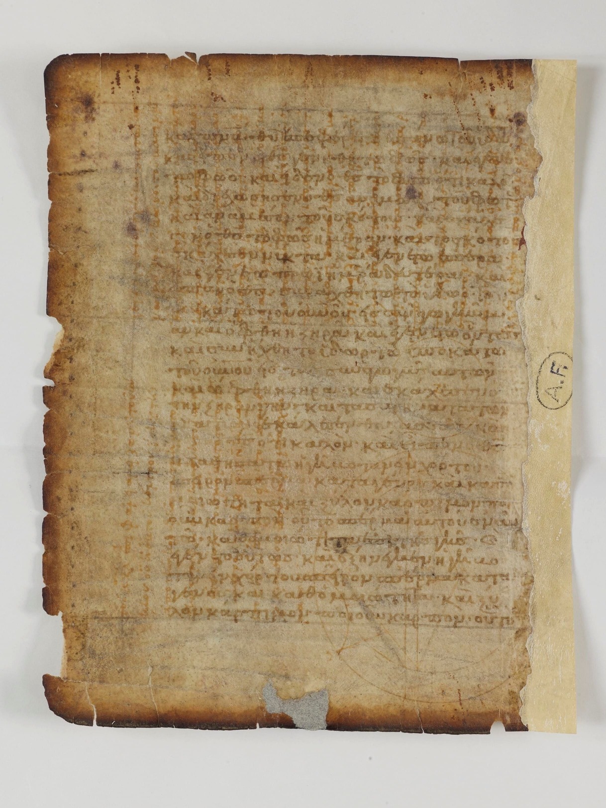 古代文書　The Archimedes Palimpsest Volume I The Archimedes Palimpsest, Vols. 1 and 2 | Department of Classics